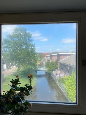Ferienwohnung Tinyhouse Woody At The Water Zaandam Exterior foto