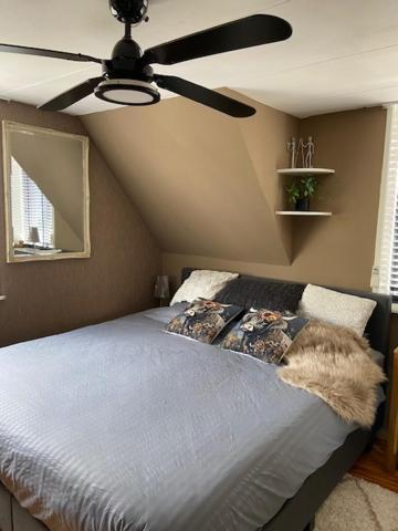 Ferienwohnung Tinyhouse Woody At The Water Zaandam Exterior foto